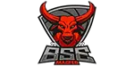Logo von BSE Paintball mit Stier-Wappen – Partner und Referenz von foxdot.me.